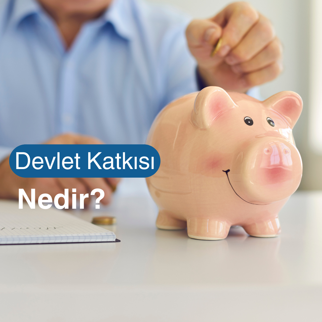 BES Devlet Katkısı Ne Kadar? Nasıl Hesaplanır?